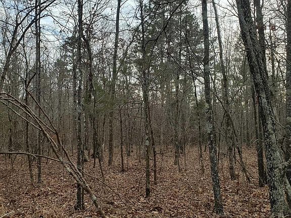 3rd image of Polk Rd #197
