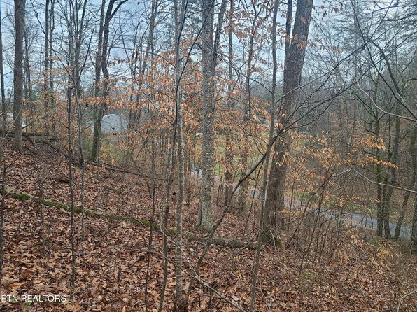 Keystown Rd, Luttrell, TN 37779