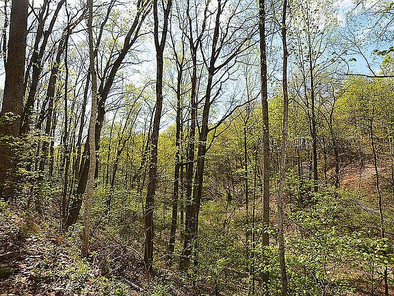 2nd image of 194195 Ski View Ln