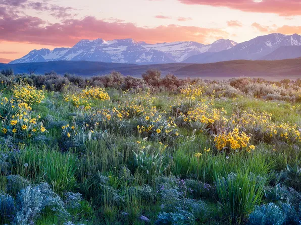 1115 E Hoyt Peak Ranch Rd, Kamas, UT 84036