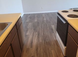 207 & 213 9th Ave #213-101, Madison, MN 56256