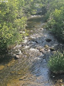 Olson Rd, Goldendale, WA, 98620