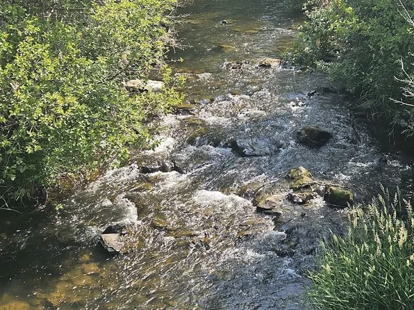 Olson Rd, Goldendale, WA 98620