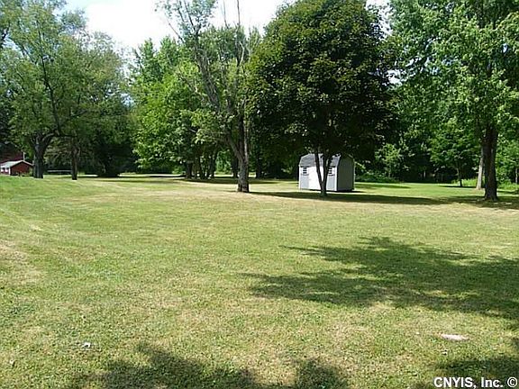 Backyard. Sprawling Backyard with Shed