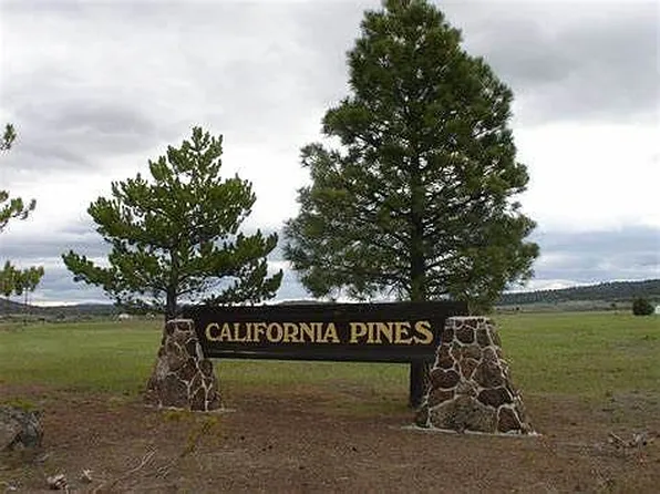 7 Mountain View Dr, Alturas, CA 96101