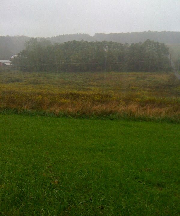 1st image of 1561 Lower Nis Hollow Dr