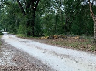 0 SE Dees Ct, Mayo, FL 32066