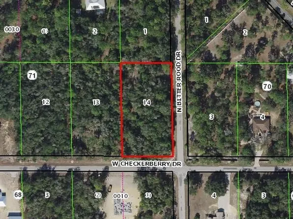 11659 W Checkerberry Dr, Crystal River, FL 34428