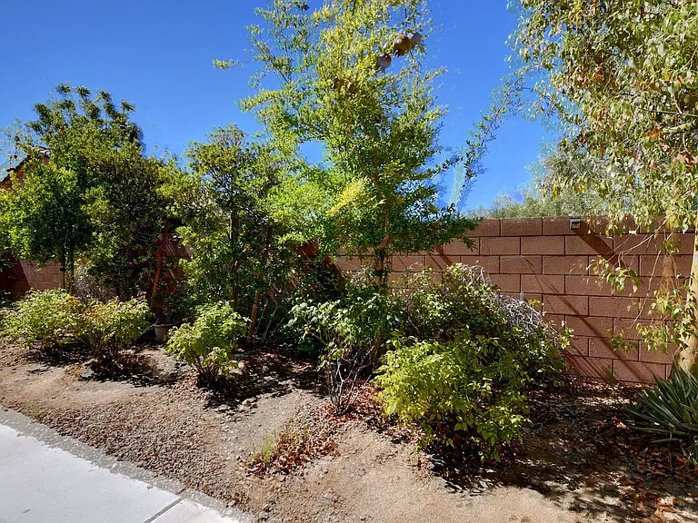 7110 Purple Iris Ave — Photo 9