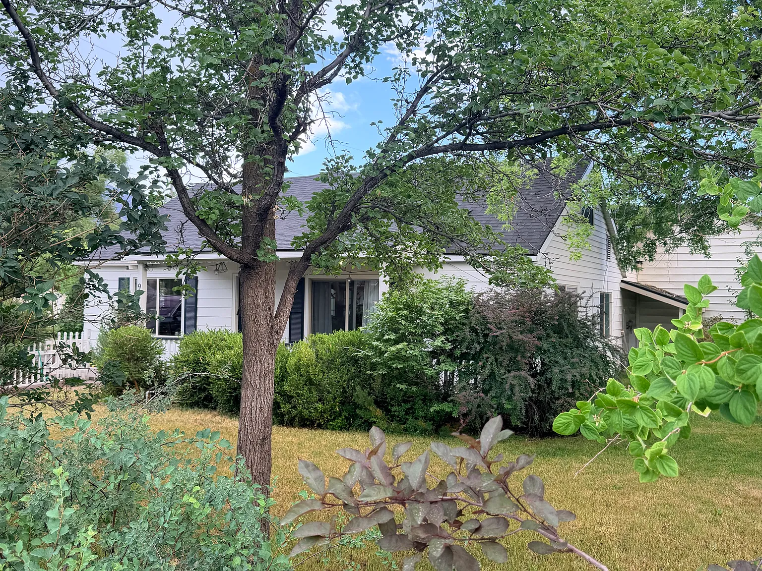 4 bed, 1800 sqft, $2,295 — Photo 2