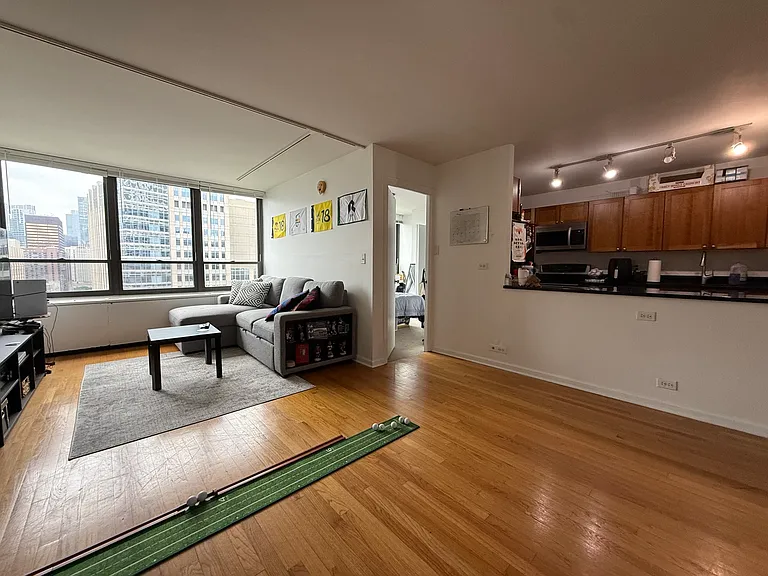 222 E Pearson St #2406 — Photo 3