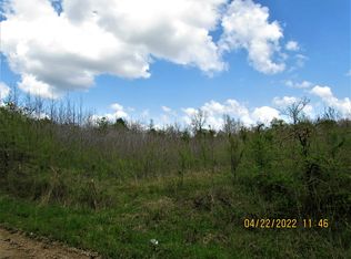 County Road 461, Piggott, AR 72454