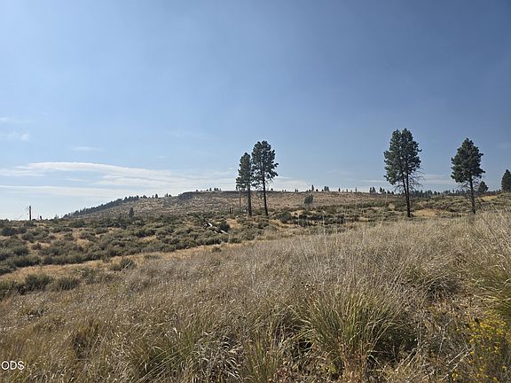 3rd image of Ram Rd #6