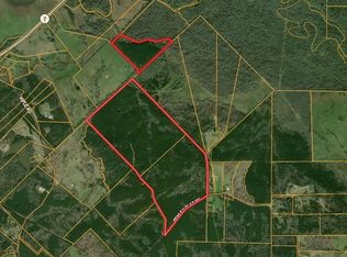 PARCEL Id #30383, Pollok, TX 75969