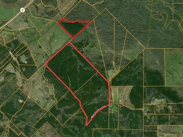 PARCEL Id #30383, Pollok, TX 75969