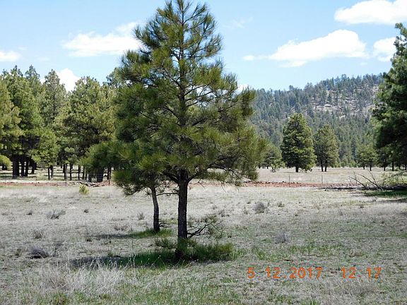 3rd image of 14030 E Timber Ln