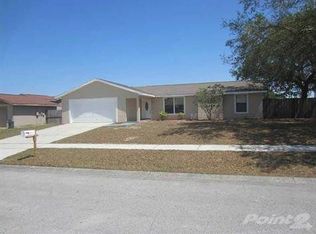 1317 Piney Branch Cir, Valrico, FL 33594