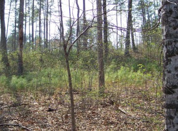5th image of 24 Planters Wood Ct