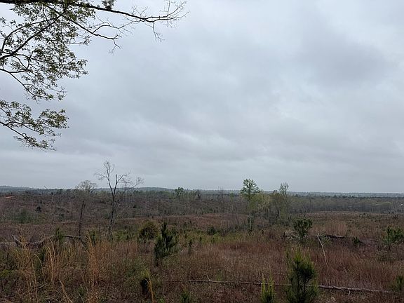 2nd image of TRACT 2 Highway 82