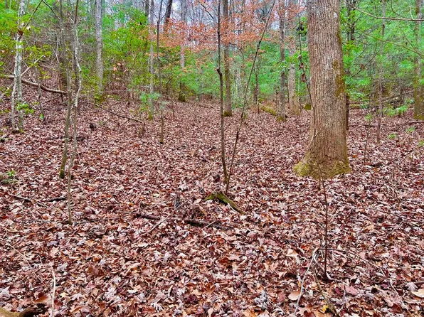 0 Sugar Creek Rd, Blue Ridge, GA 30513