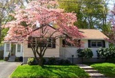 49 Collins Ave, Randolph, MA, 02368