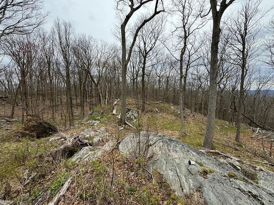 2nd image of Woodmont Road