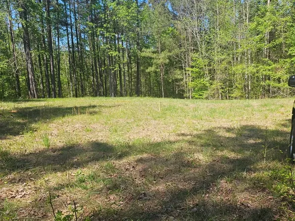 1041 Pintail Ln, Madison, GA 30650