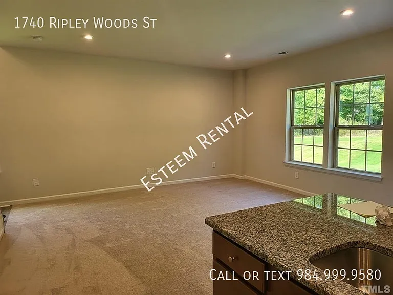 1740 Ripley Woods St — Photo 6