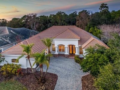 11938 Royce Waterford Cir, Tampa, FL, 33626