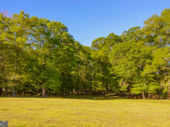 0 Payne Pond Rd, Weston, GA 31832