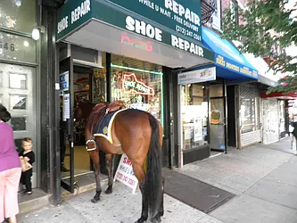 Rented by John O'Kelly Real Estate