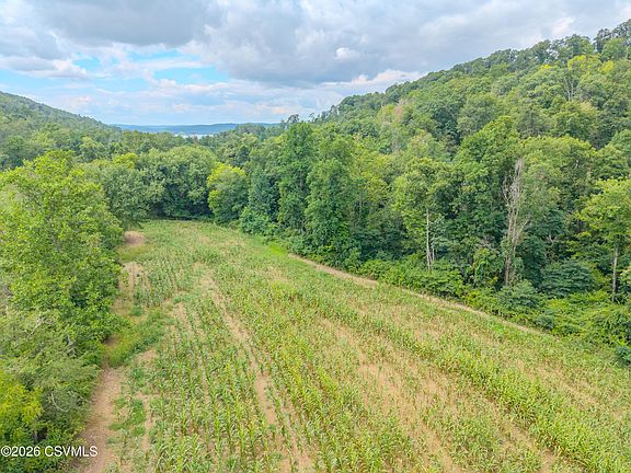 4th image of PARCEL 8 Carls Hill Rd