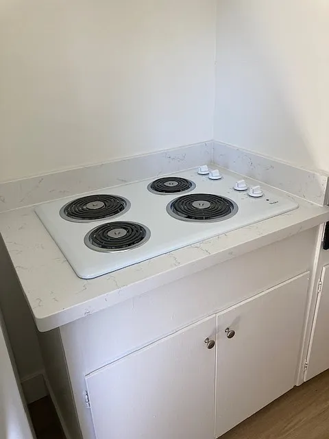 1 bed, 487 sqft, $2,000 — Photo 4