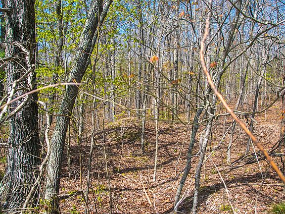 5th image of 0 Long Branch Ln Lot 1