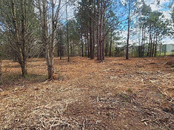 2nd image of 125 Acuff Rd