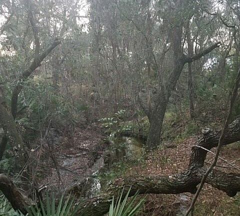 Creek