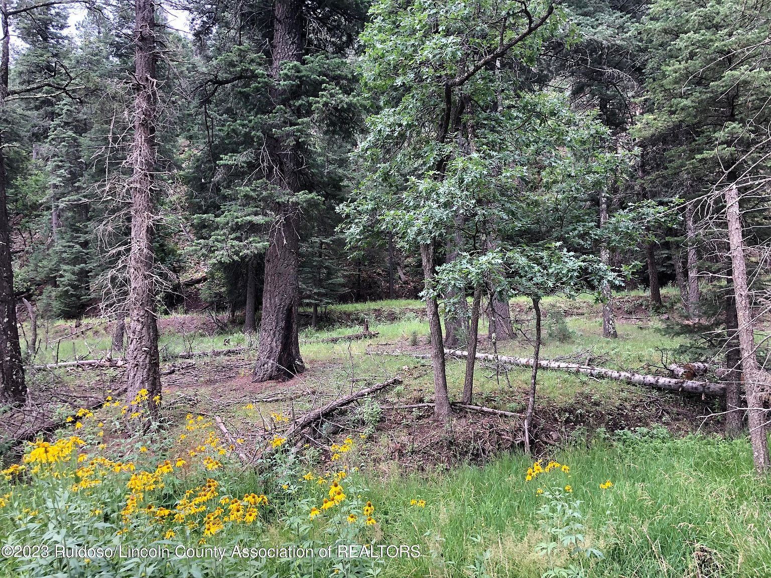LOT 1&2 Cedar Creek Ct, Ruidoso, NM 88345 MLS 129896 Zillow