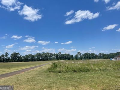 LOT-24A Crabapple Dr, Hawkinsville, GA, 31036