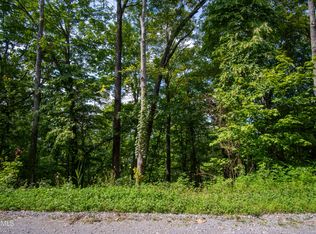 N Dogwood Ln, Sevierville, TN 37876
