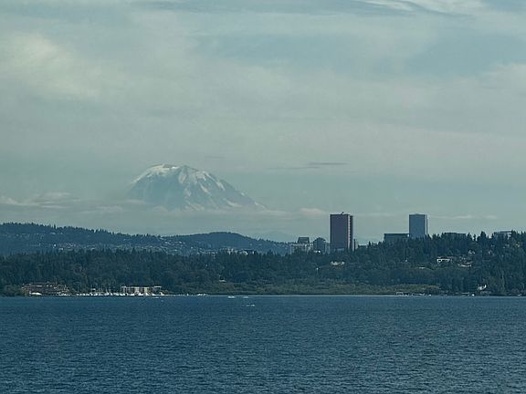You Can see Mt. Rainer