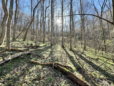0 Lake View Dr LOT 59, Smithville, TN, 37166
