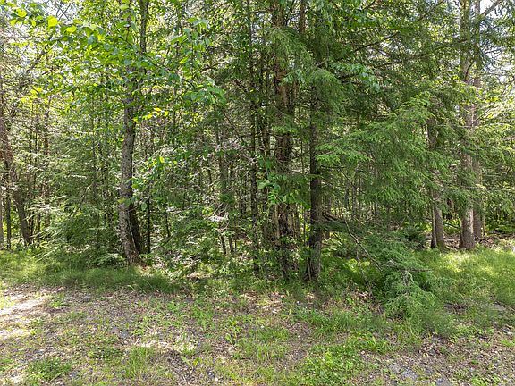 5th image of 8381 S Bo Di Lac Dr