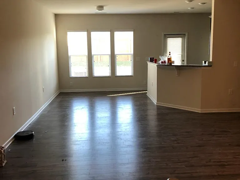 1023 Laceflower Dr — Photo 3