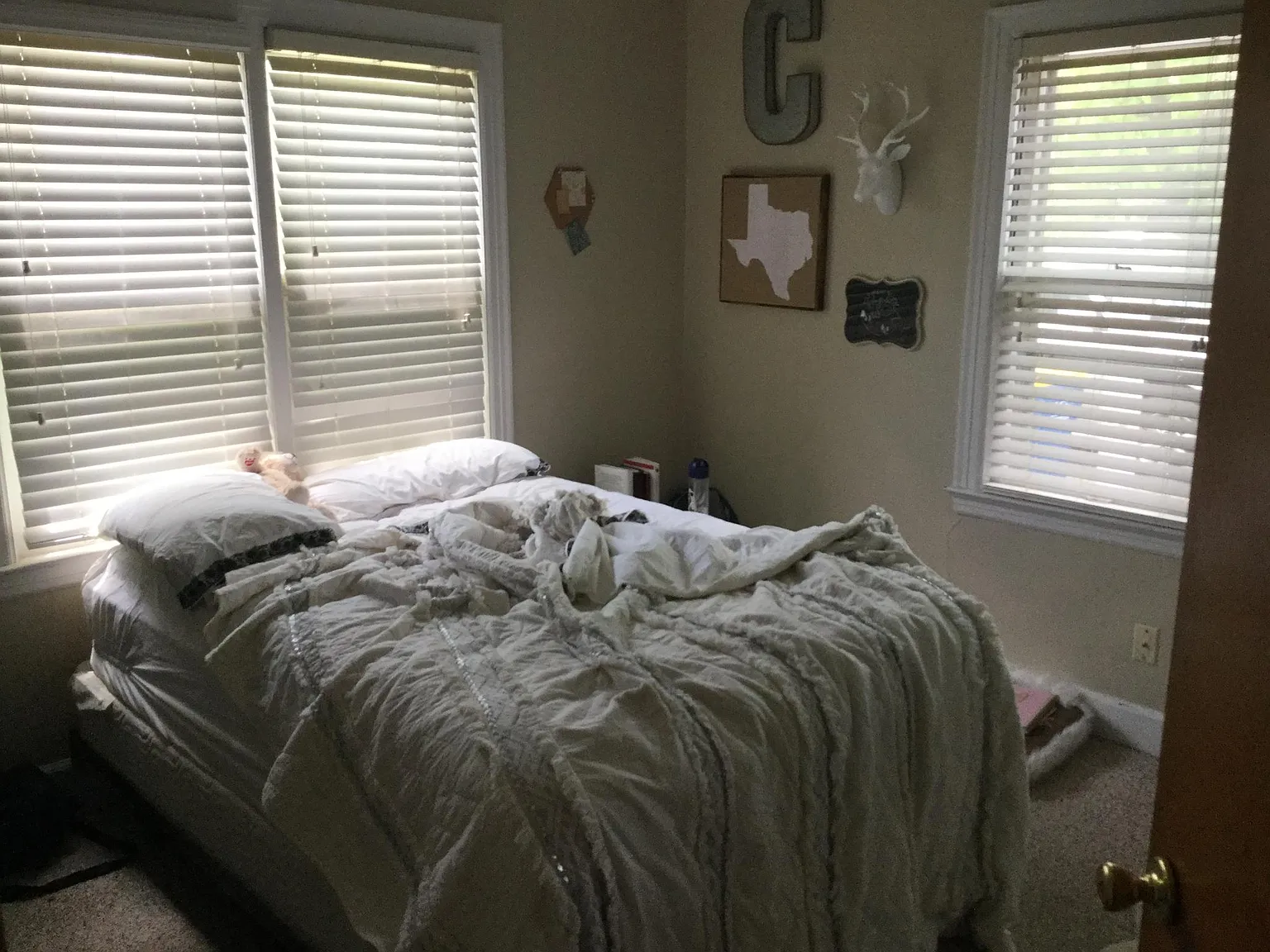 2 bed, 1000 sqft, $1,300 — Photo 4