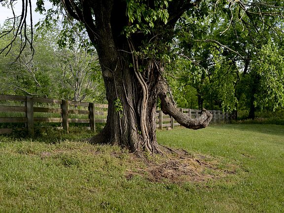 65th image of 3210 Morel Rd