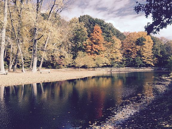 Old Mine Park-a 5 min. walk!