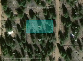 Highland Street LOT 7, Hartsel, CO 80449
