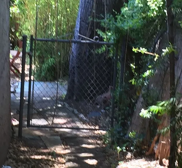 798 Santa Barbara Rd — Photo 2