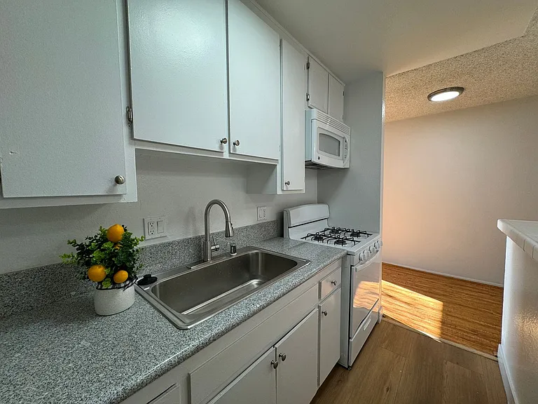6736 Cleon Ave — Photo 44
