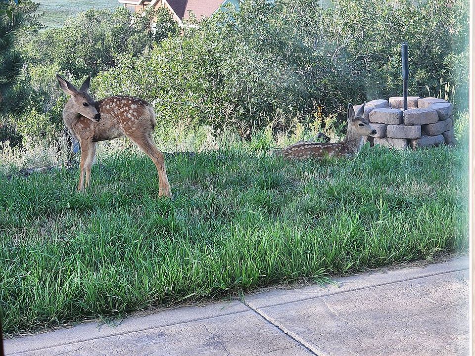2nd image of 2815 Sandy Ridge Rd